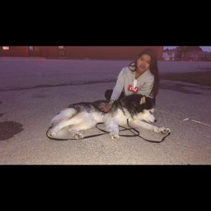 Meet your Posher, Thenusha